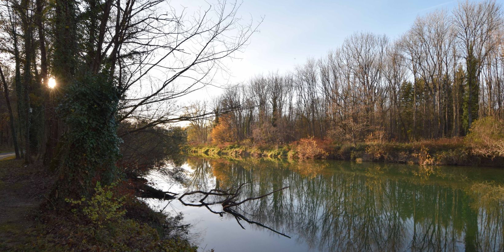 L'Aar près de Brugg